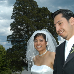 TheresasWedding
